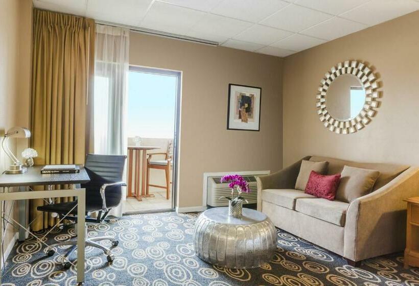 小型套房, Regency Miami Airport By Sonesta