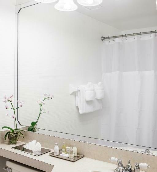 适合残疾人士使用的带超级大床的标准间, Regency Miami Airport By Sonesta