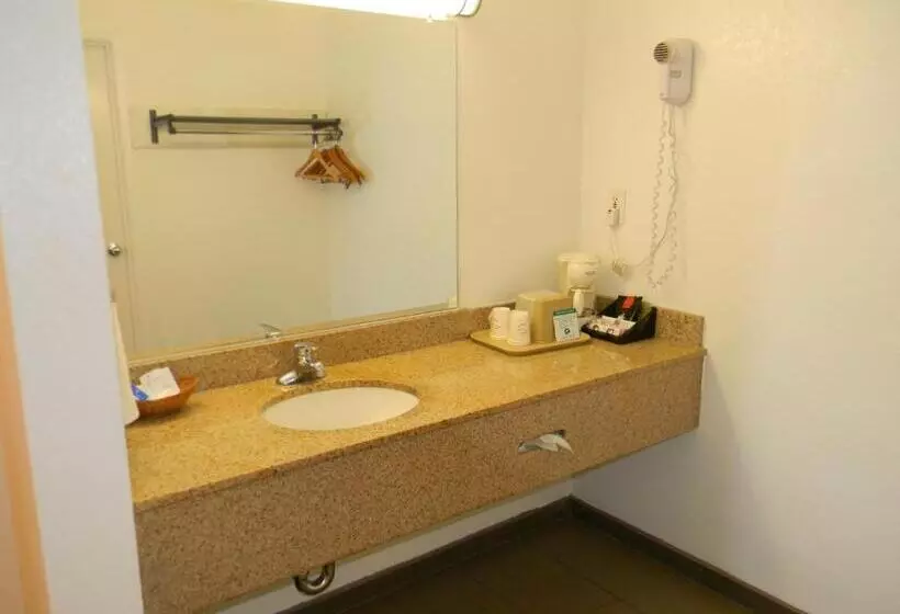 اتاق استاندارد با تخت بزرگ, Rodeway Inn Alamedaoakland