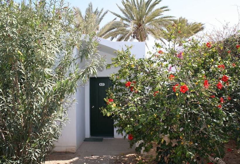 بنجلو قياسى, Sangho Club Zarzis