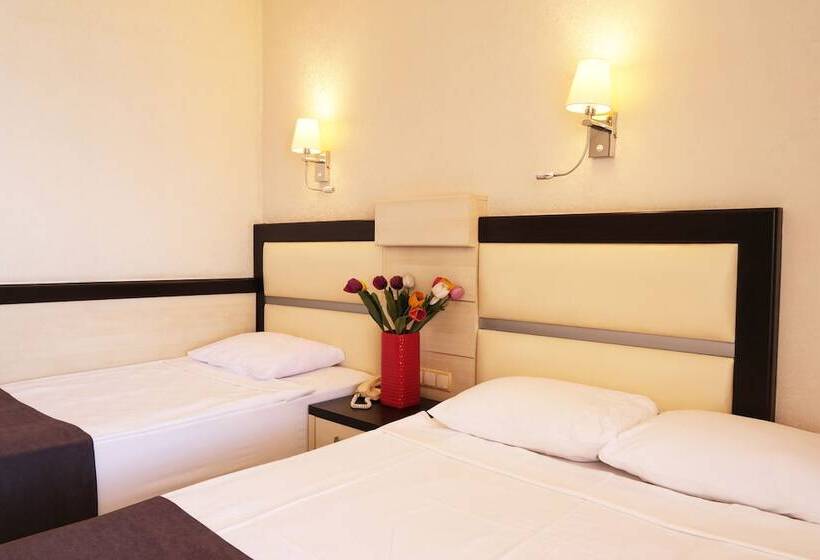 Habitació Triple Estàndard, Wien Star