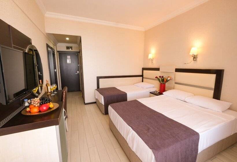 Habitació Estàndard, Wien Star