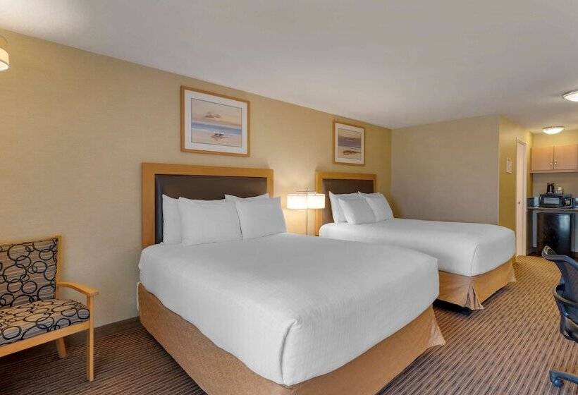 חדר סטנדרט שתי מיטות זוגיות, Best Western Plus Ocean View Resort