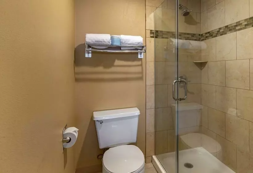 اتاق استاندارد با تخت دوبل, Best Western Plus Ocean View Resort