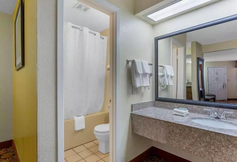 キングサイズベッドのデラックスルーム, Best Western Benton Inn
