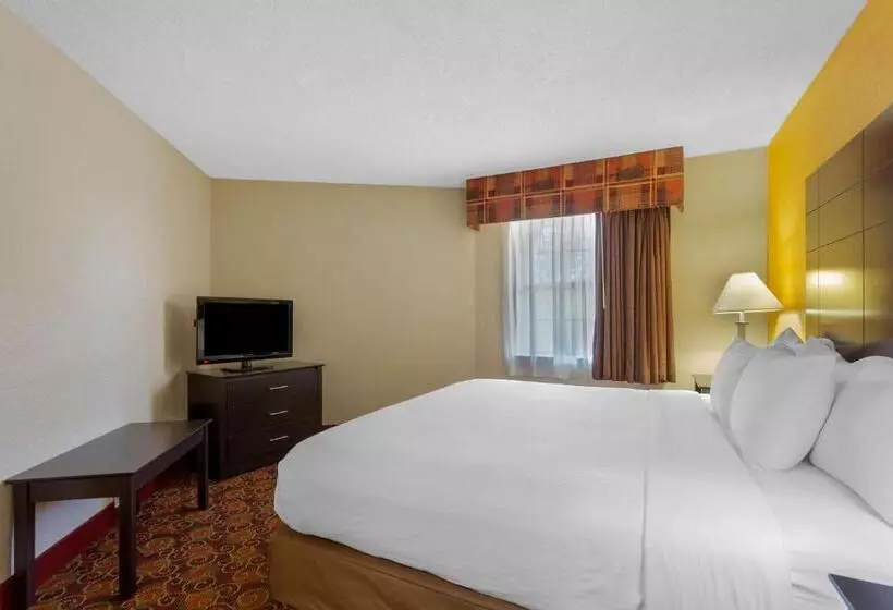 キングサイズベッドのデラックスルーム, Best Western Benton Inn