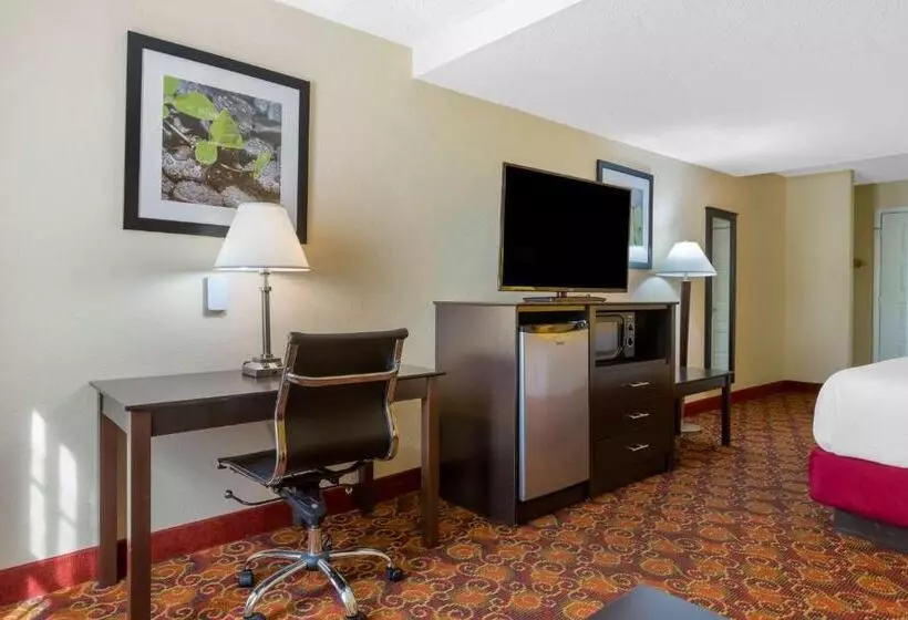 身障者適用キングサイズベッドルーム, Best Western Benton Inn