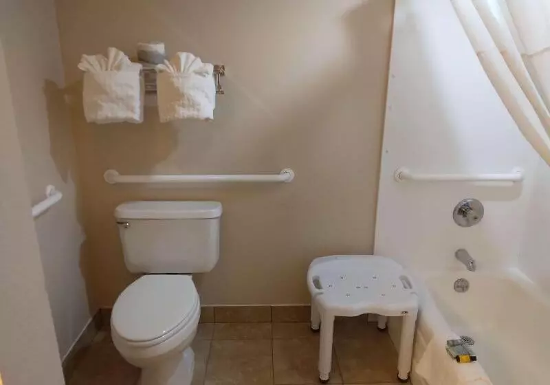 Standard-huone, Best Western Canton Inn