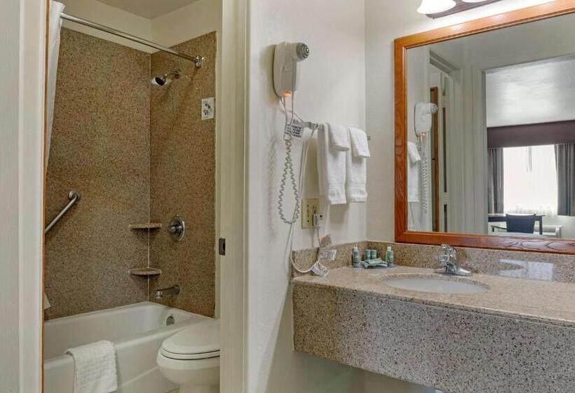 חדר סטנדרט, Best Western Caprock Inn