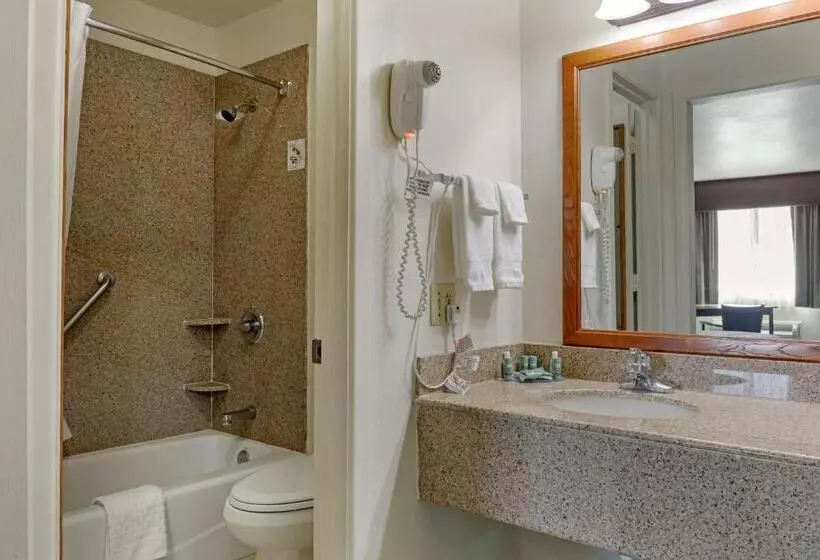 スタンダードルーム, Best Western Caprock Inn
