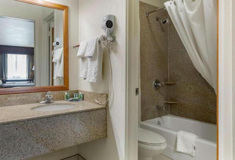 חדר סטנדרט, Best Western Caprock Inn