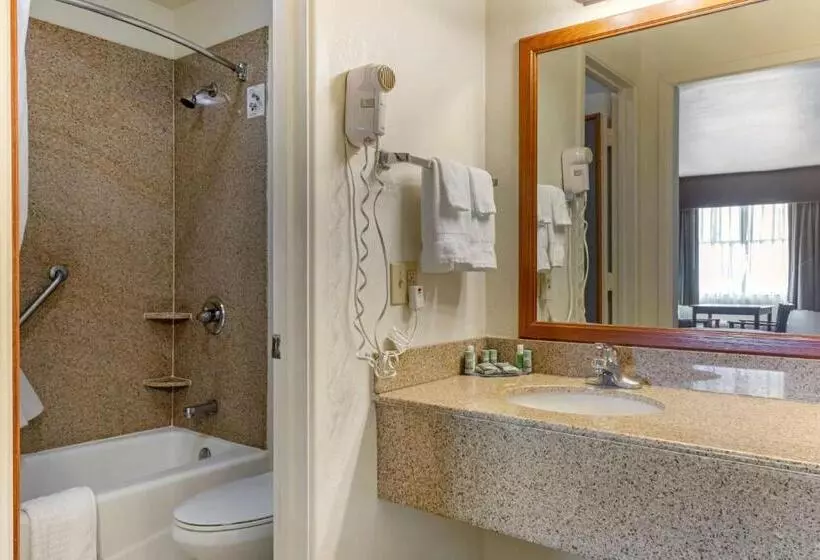 キングサイズベッドのスタンダードルーム, Best Western Caprock Inn