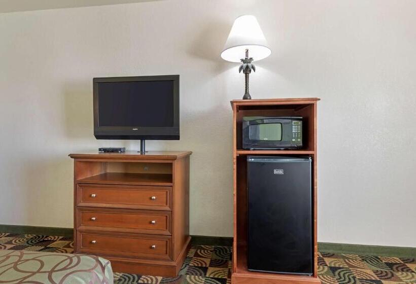 חדר סטנדרט עם מיטת קינג, Best Western Caprock Inn