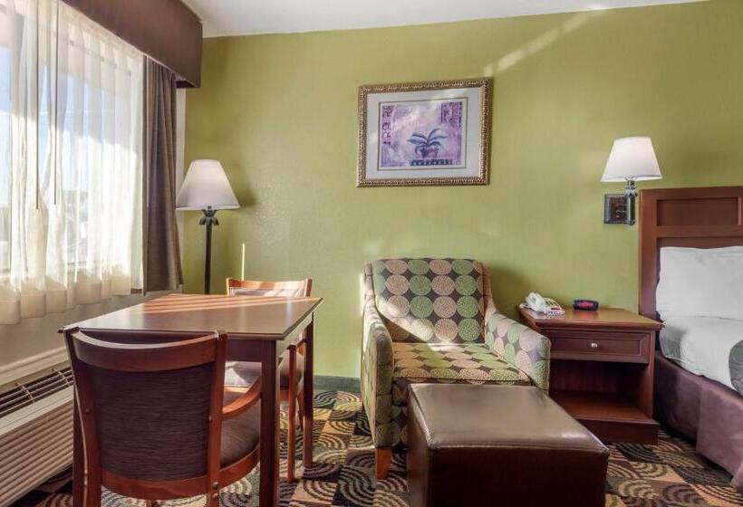 חדר סטנדרט עם מיטת קינג, Best Western Caprock Inn