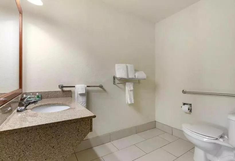 身障者適用スタンダードルーム, Best Western Caprock Inn
