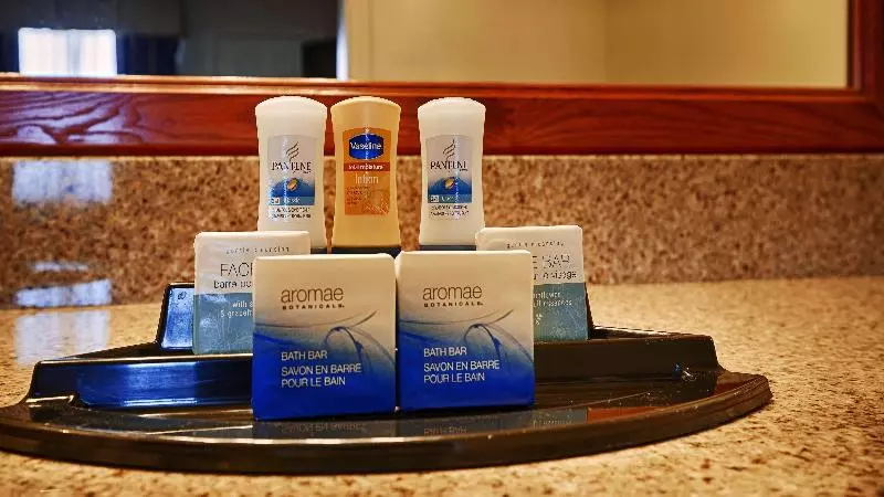 キングサイズベッドのスタンダードルーム, Best Western Caprock Inn