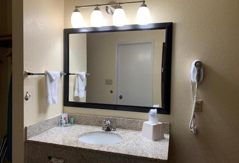 اتاق استاندارد با تخت بزرگ, Best Western Desert Oasis