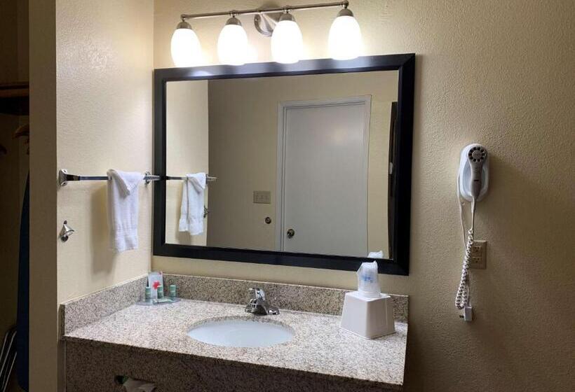 اتاق استاندارد با تخت بزرگ, Best Western Desert Oasis