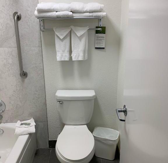 اتاق استاندارد, Best Western Desert Oasis