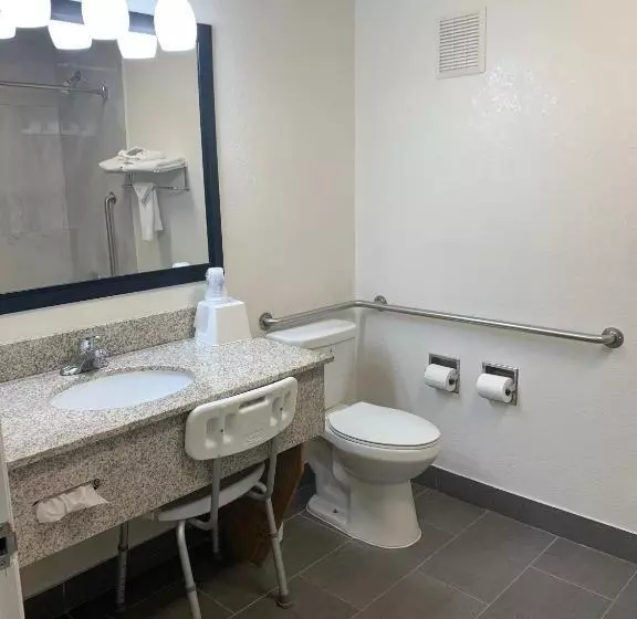 身障者適用キングサイズベッドルーム, Best Western Desert Oasis
