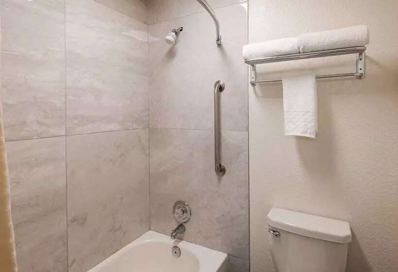 Standard-huone Parivuode, Best Western Desert Oasis