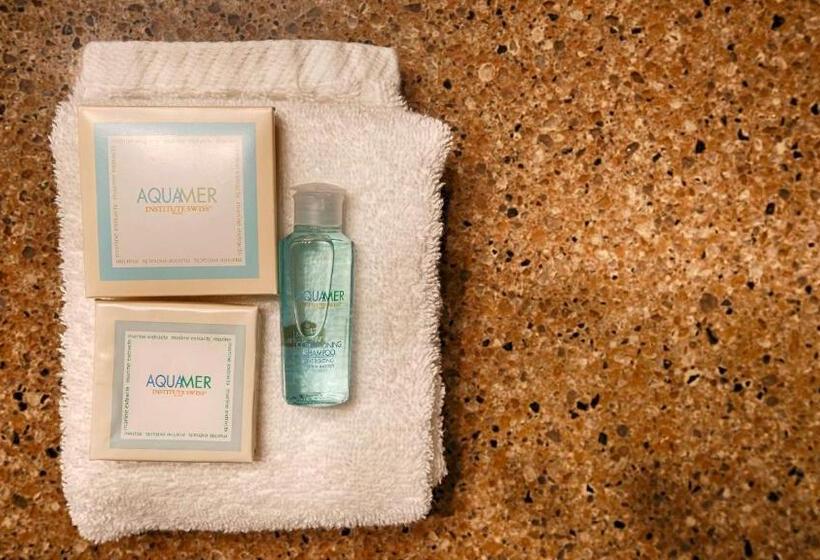 غرفة قياسية سرير كينج, Best Western Discovery Inn