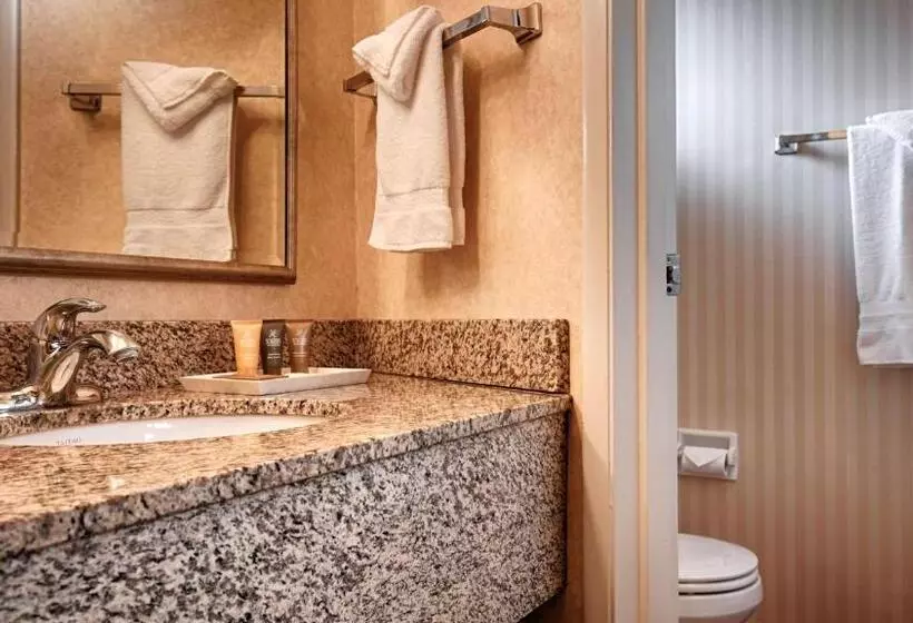 اتاق استاندارد با تخت بزرگ, Best Western Garden Inn