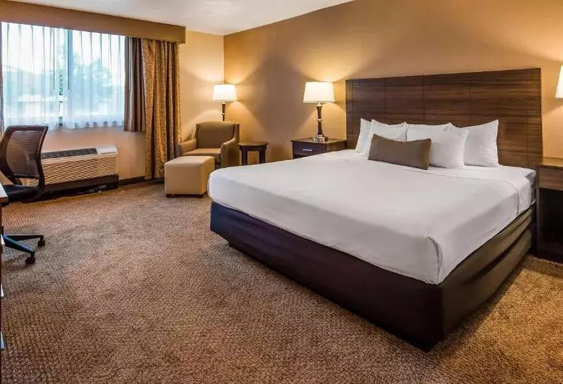 اتاق استاندارد با تخت بزرگ, Best Western Green Bay Inn And Conference Center