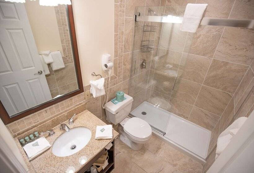 带2个双人床的标准工作室, Best Western Of Lake George