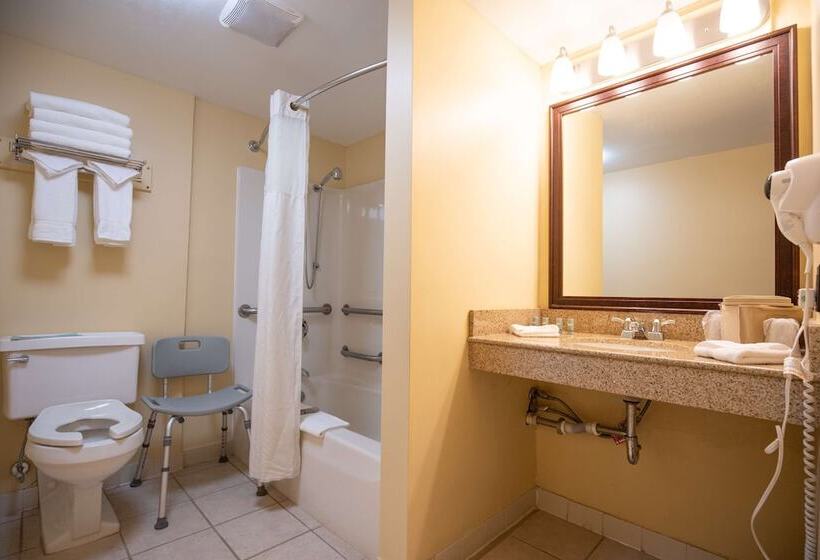 适合残疾人士使用的带双人床的标准间, Best Western Of Lake George