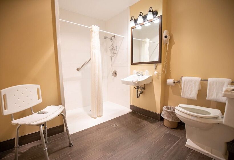 适合残疾人士使用的带双人床的标准间, Best Western Of Lake George