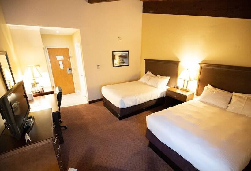 带2个双人床的标准工作室, Best Western Of Lake George