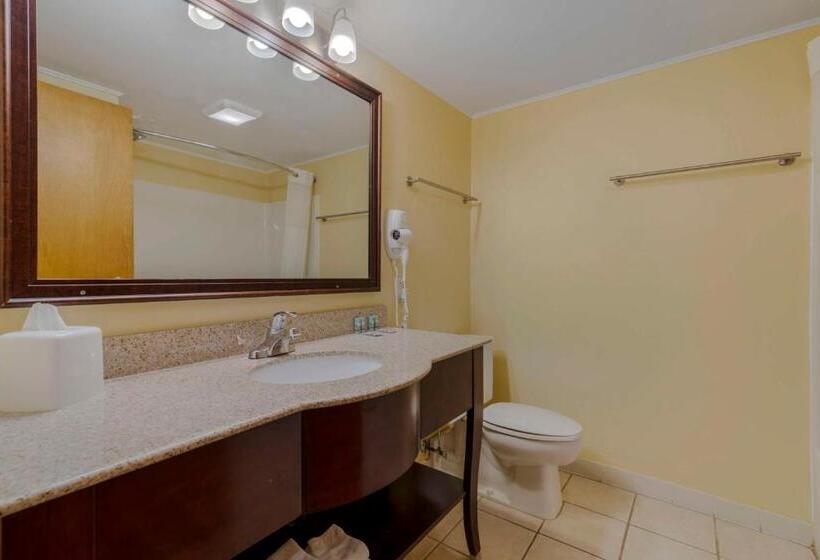 חדר סטנדרט שתי מיטות זוגיות, Best Western Of Lake George