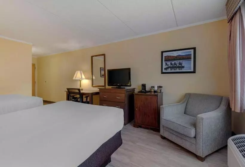 اتاق استاندارد با 2 تخت دوبل, Best Western Of Lake George