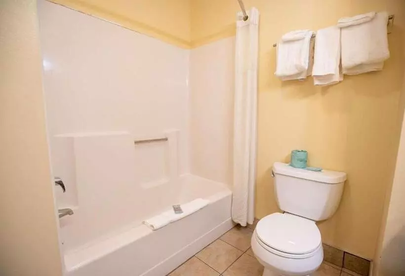 اتاق لوکس با تخت بزرگ, Best Western Of Lake George