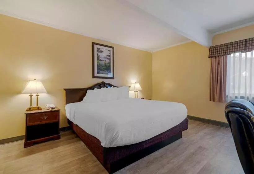 اتاق لوکس با تخت بزرگ, Best Western Of Lake George