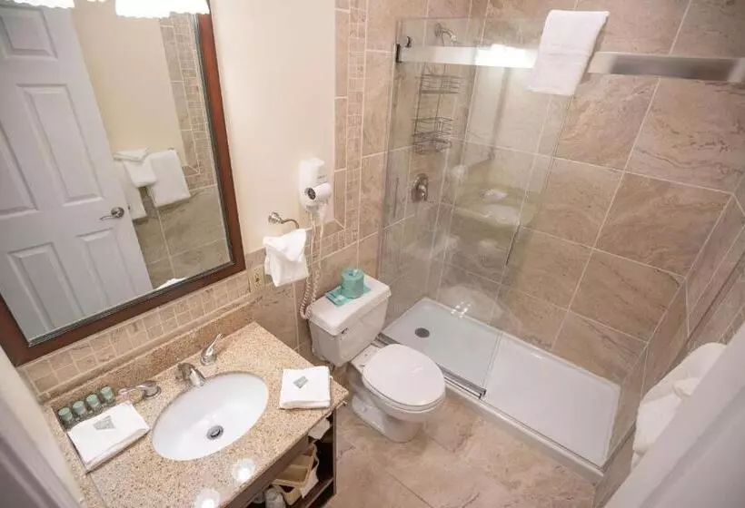 اتاق استاندارد با تخت بزرگ, Best Western Of Lake George