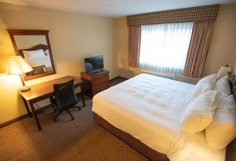 اتاق استاندارد با تخت بزرگ, Best Western Of Lake George