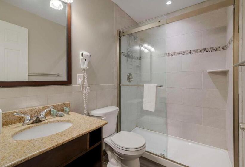 סוויטה, Best Western Of Lake George