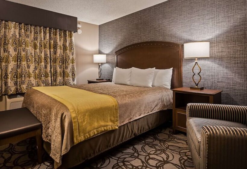 סוויטה משפחתית, Best Western Plus Black Oak