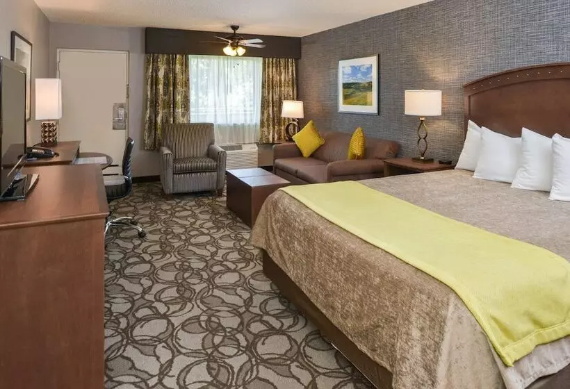 سوییت خانوادگی, Best Western Plus Black Oak