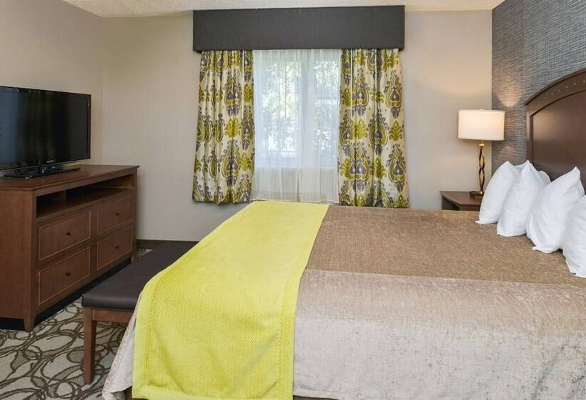 סוויטה משפחתית, Best Western Plus Black Oak