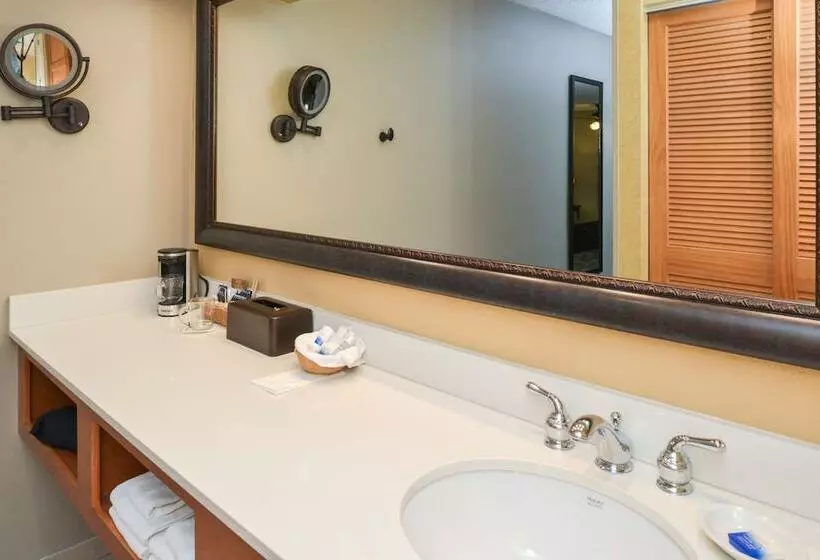اتاق سوپریور, Best Western Plus Black Oak