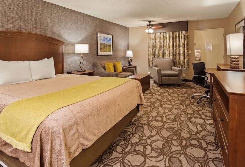 חדר סופריור, Best Western Plus Black Oak