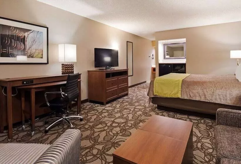 اتاق سوپریور, Best Western Plus Black Oak