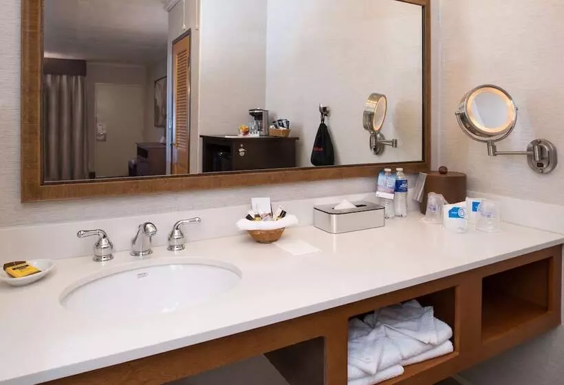 اتاق استاندارد با 2 تخت دوبل, Best Western Plus Black Oak