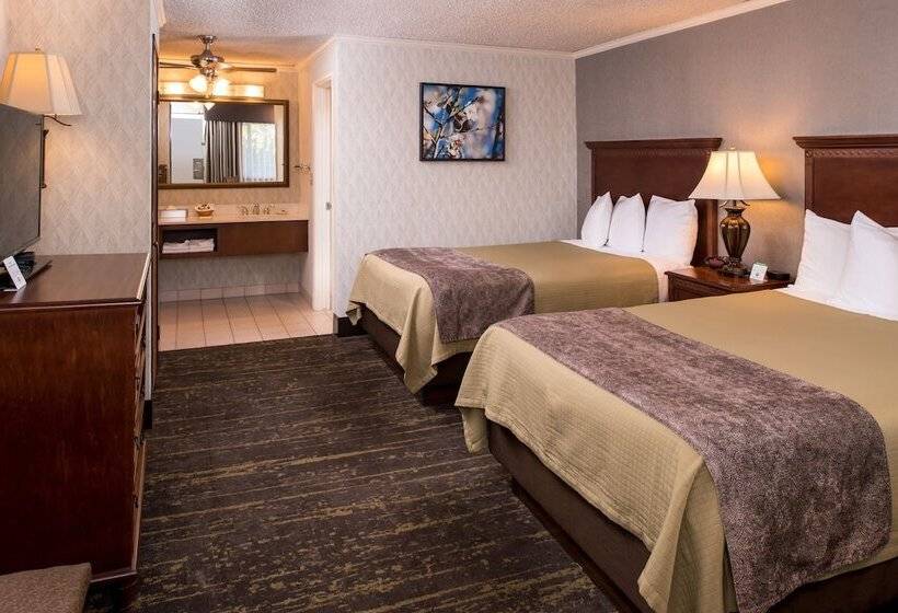 غرفه قياسيه سريرين مزدوجين, Best Western Plus Black Oak