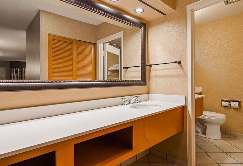 חדר סופריור, Best Western Plus Black Oak