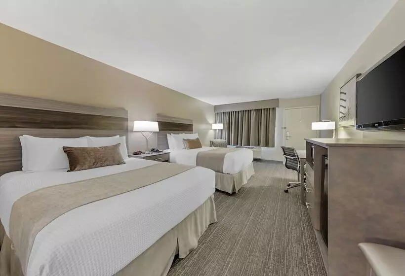 اتاق کلاس بیزنس, Best Western Plus Executive Inn