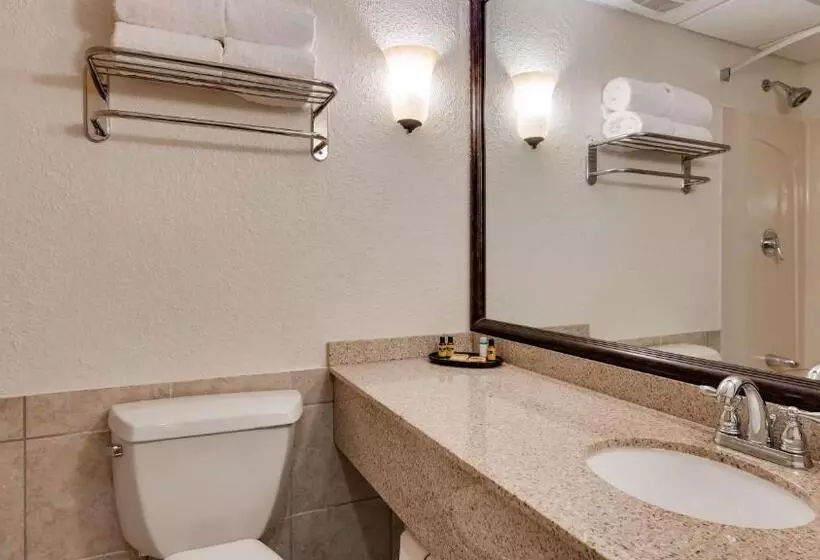اتاق استاندارد با تخت بزرگ, Best Western Plus Longbranch Hotel & Convention Center